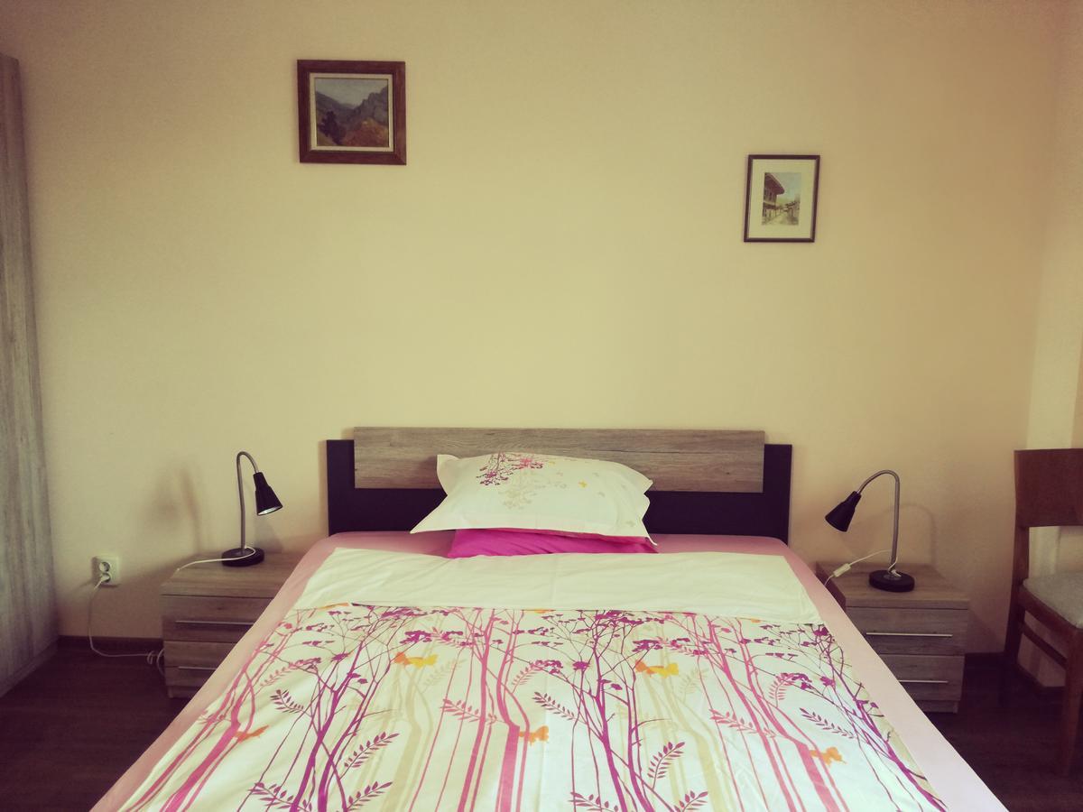 סופיה Apartment Durvenitza מראה חיצוני תמונה
